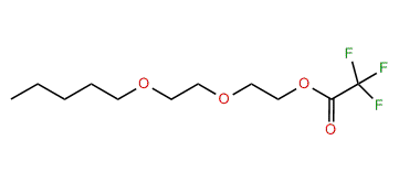 2-(2-Pentoxyethoxy)-ethyl trifluoroacetate